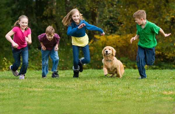 Companion animals.jpg